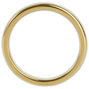 Gold 2mm Wonder Ring