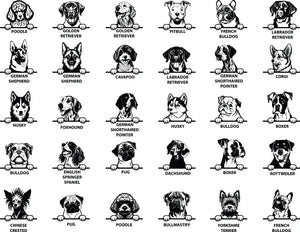 Personalised Dog Wonder Ring