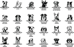 Personalised Dog Wonder Ring