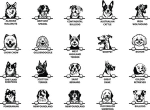 Personalised Dog Wonder Ring