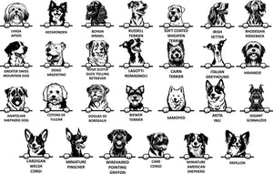 Personalised Dog Wonder Ring