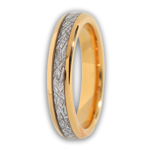 The Golden Steel 4mm Wonder Ring