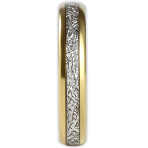 The Golden Steel 4mm Wonder Ring