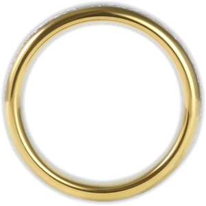 The Golden Steel 6mm Wonder Ring