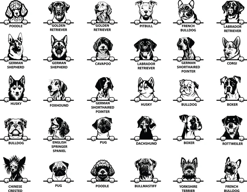 Personalised Dog Wonder Ring