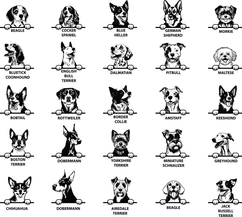 Personalised Dog Wonder Ring