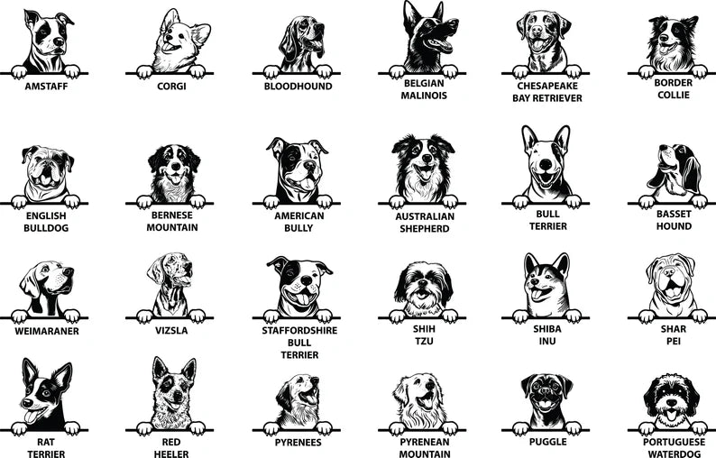 Personalised Dog Wonder Ring