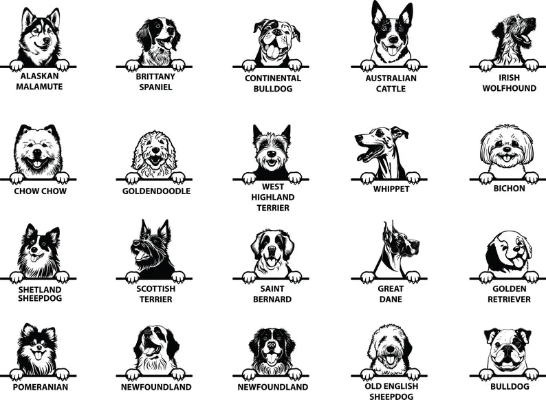 Personalised Dog Wonder Ring