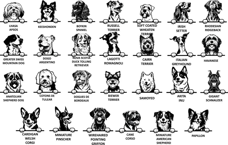 Personalised Dog Wonder Ring