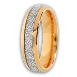 The Golden Steel 6mm Wonder Ring